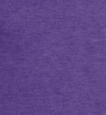 Gildan Women's V-Neck Shirt