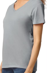 Gildan Women's V-Neck Shirt